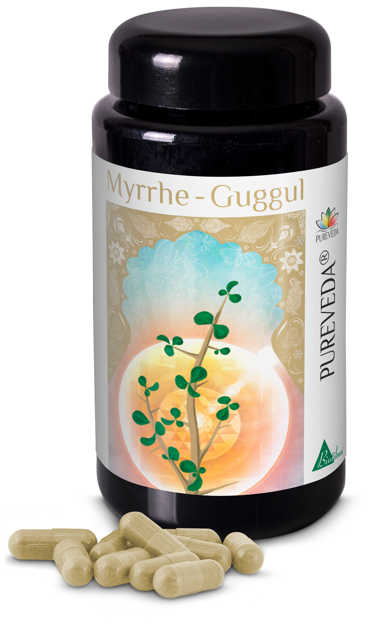 Mirra Guggul – Capsule Bottiglia di capsule di Mirra Guggul, capsule verdi, 100 pezzi, su sfondo bianco.