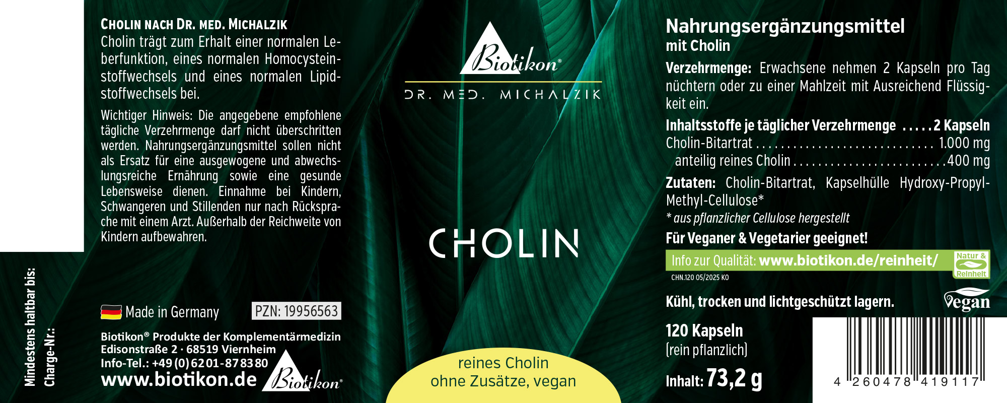 Colina 1000 mg – Capsule Integratore alimentare di colina in capsule, 120 pezzi in un pacchetto verde, vegano e a base vegetale.