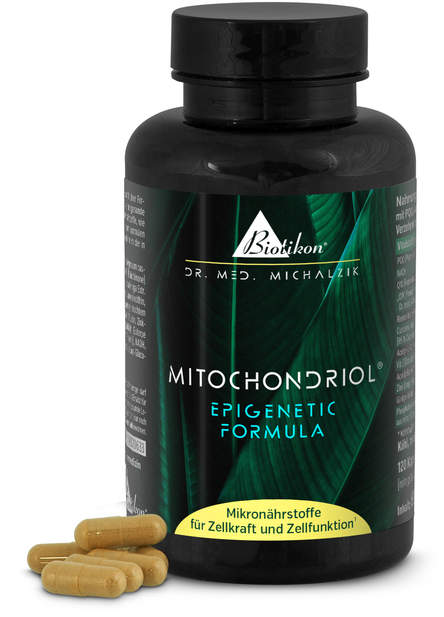 Mitocondriolo