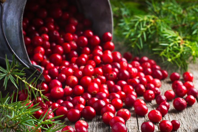 Cranberries 500 g – Frutta sfusa Cranberries fresche, rosso brillante, sparse in un ambiente di legno, circondate da rametti verdi.