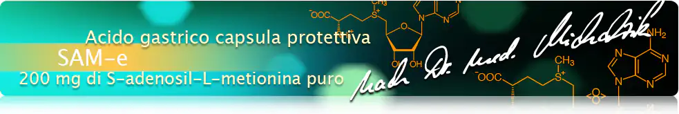 S-adenosil-metionina