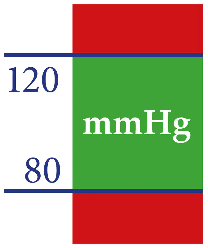 Pressione sanguigna normale 80-120 mmHg Pressione sanguigna normale 80-120 mmHg