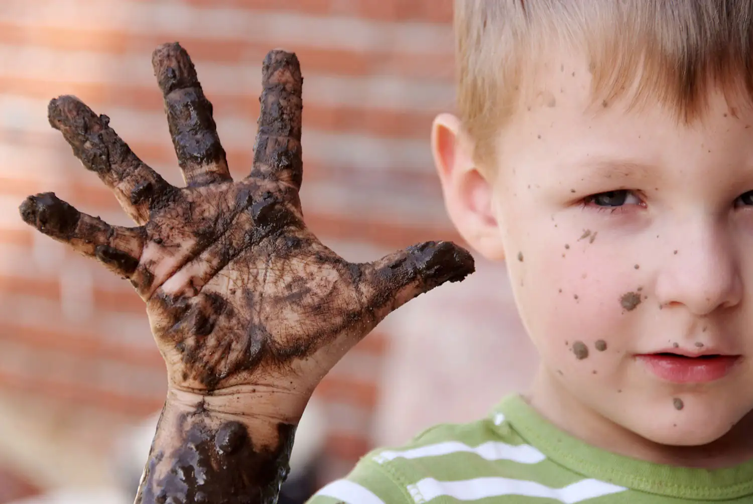 Sistema immunitario - il bambino mostra la mano sporca Sistema immunitario - il bambino mostra la mano sporca