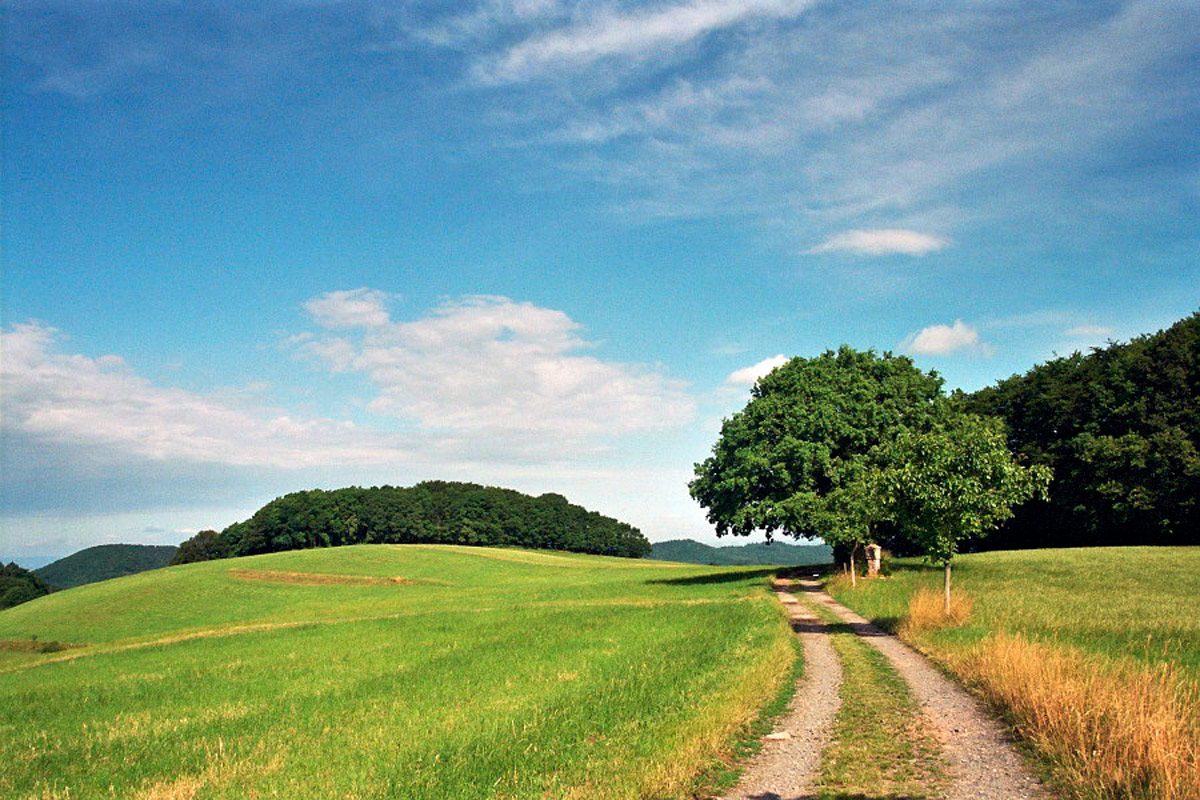 L'Odenwald