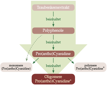 OPC Konzentrierung OPC Konzentrierungsprozess
