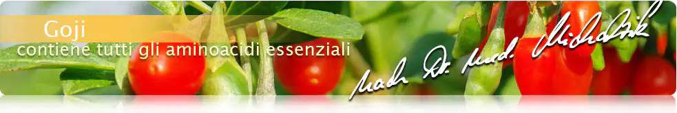 Goji