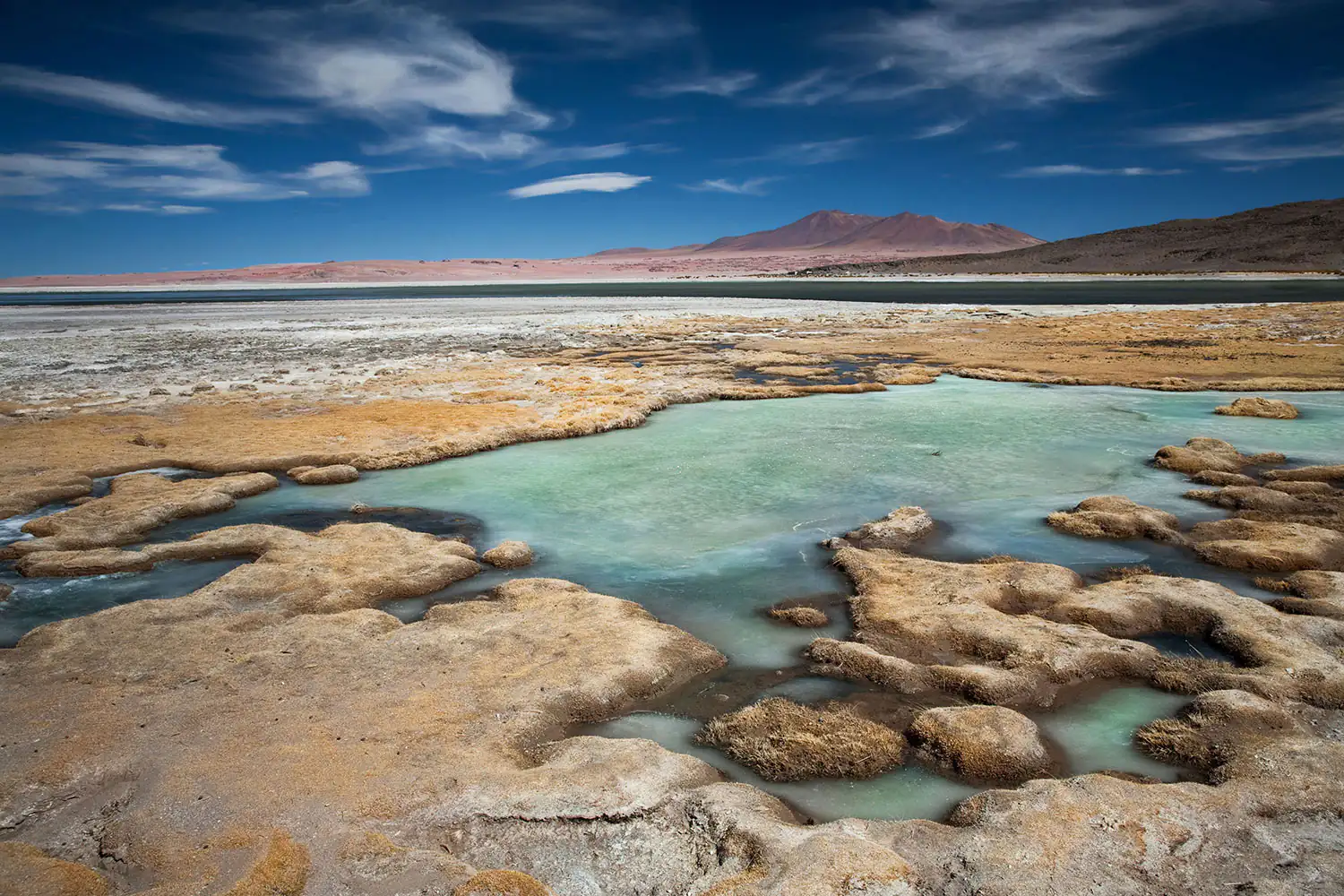 Il deserto di Atacama Il deserto di Atacama