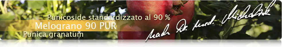 Melograno