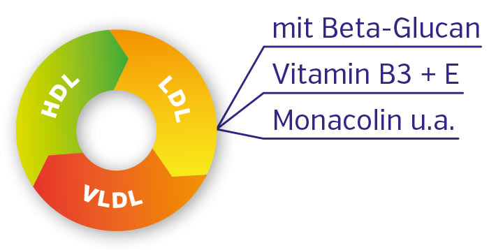 Beta-Glucano 1000 mg – Capsule Grafica che illustra i livelli di colesterolo con Beta-Glucano, Vitamina B3, E e Monacolina.