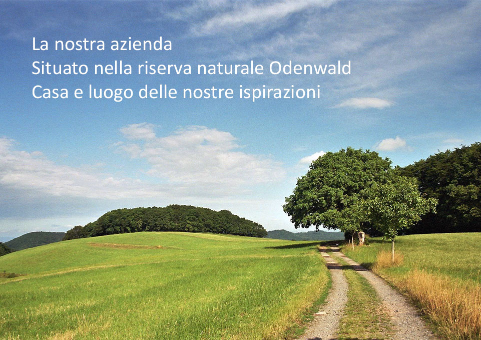 Odenwald Nature – Fotografia di paesaggio Ampio paesaggio nell'Odenwald con prati verdi, cielo nuvoloso e sentiero ghiaioso tra gli alberi.