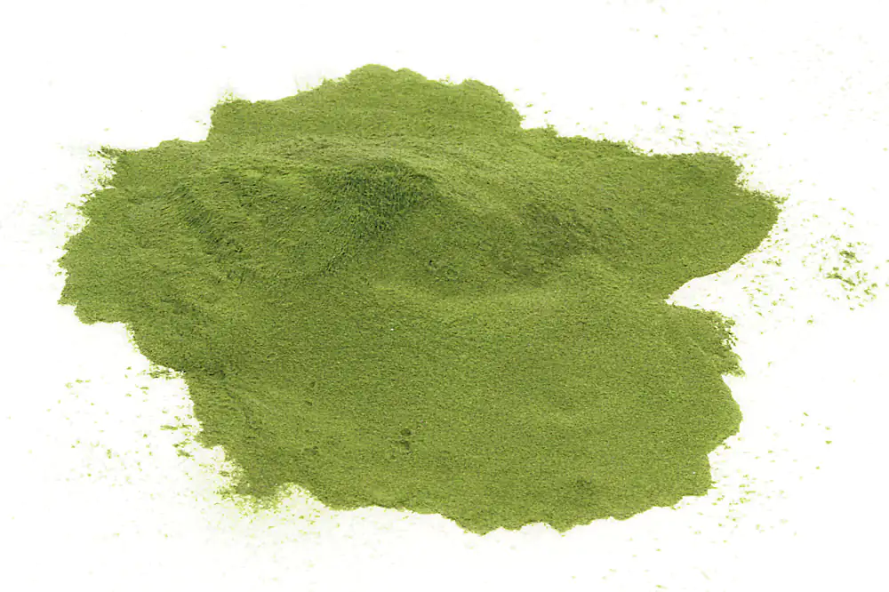 Moringa oleifera crudista di qualità Moringa oleifera crudista di qualità