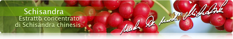 Schisandra