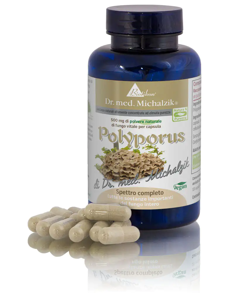 Polyporus 500 mg - Capsule Capsule di Polyporus in bottiglia blu, 500 mg, diverse capsule in primo piano, vegane.