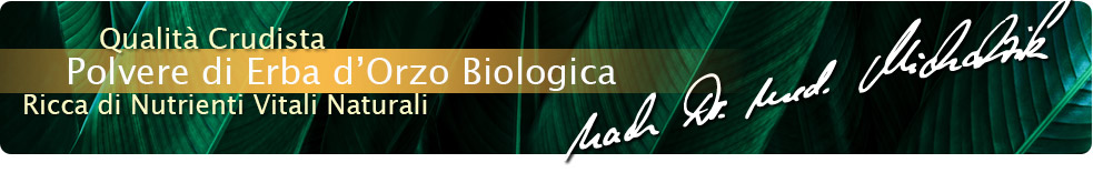 Polvere di erba d'orzo biologica