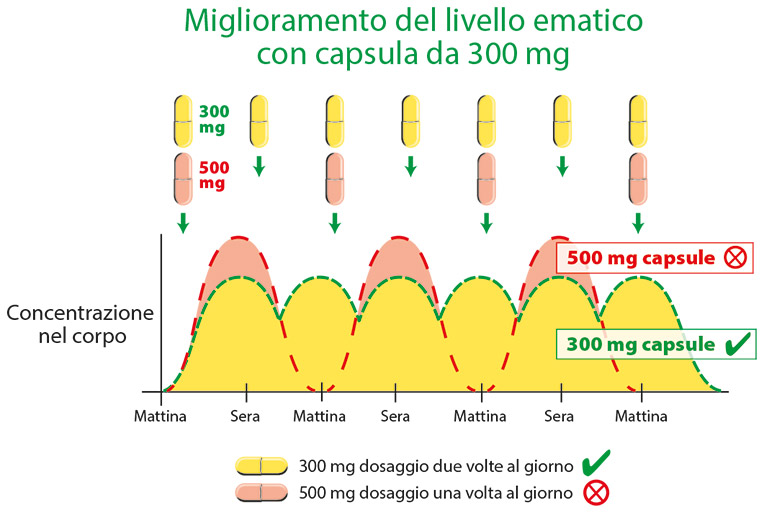 Capsule 300 mg - Dosaggio e Concentrazione Infografica sull'assunzione di capsule da 300 mg e 500 mg, modifiche della concentrazione nel corpo nel tempo.